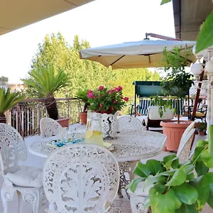 Sbaraglia - Rooftop Talenti Roma