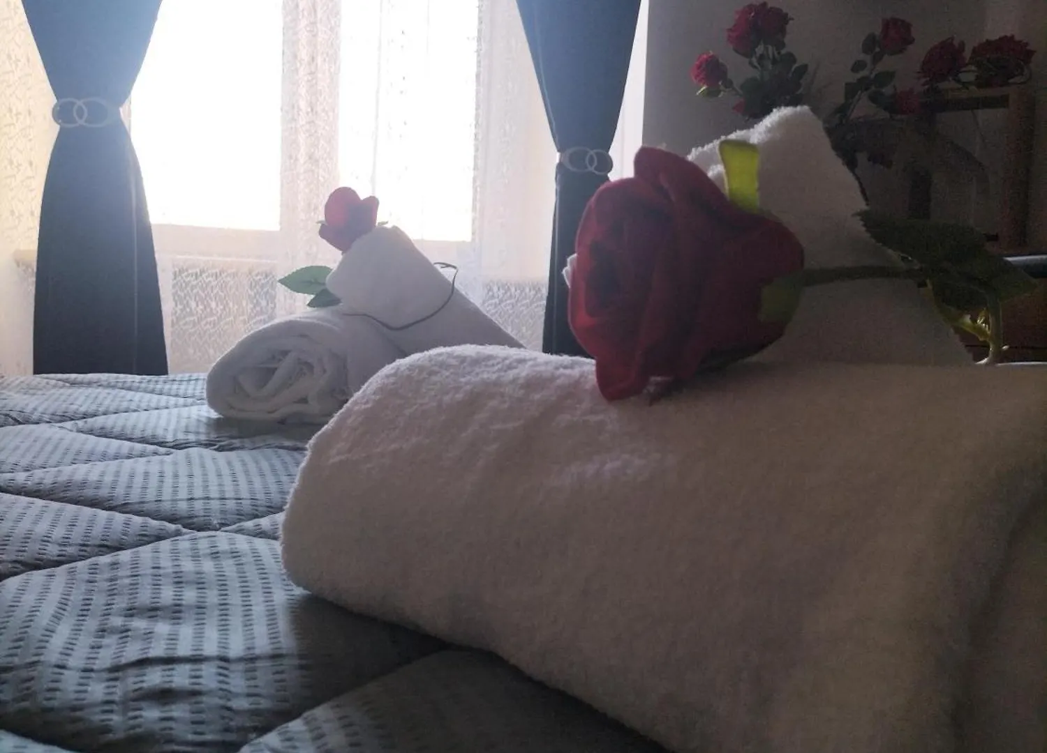 דירות Red Roses Domus רומא