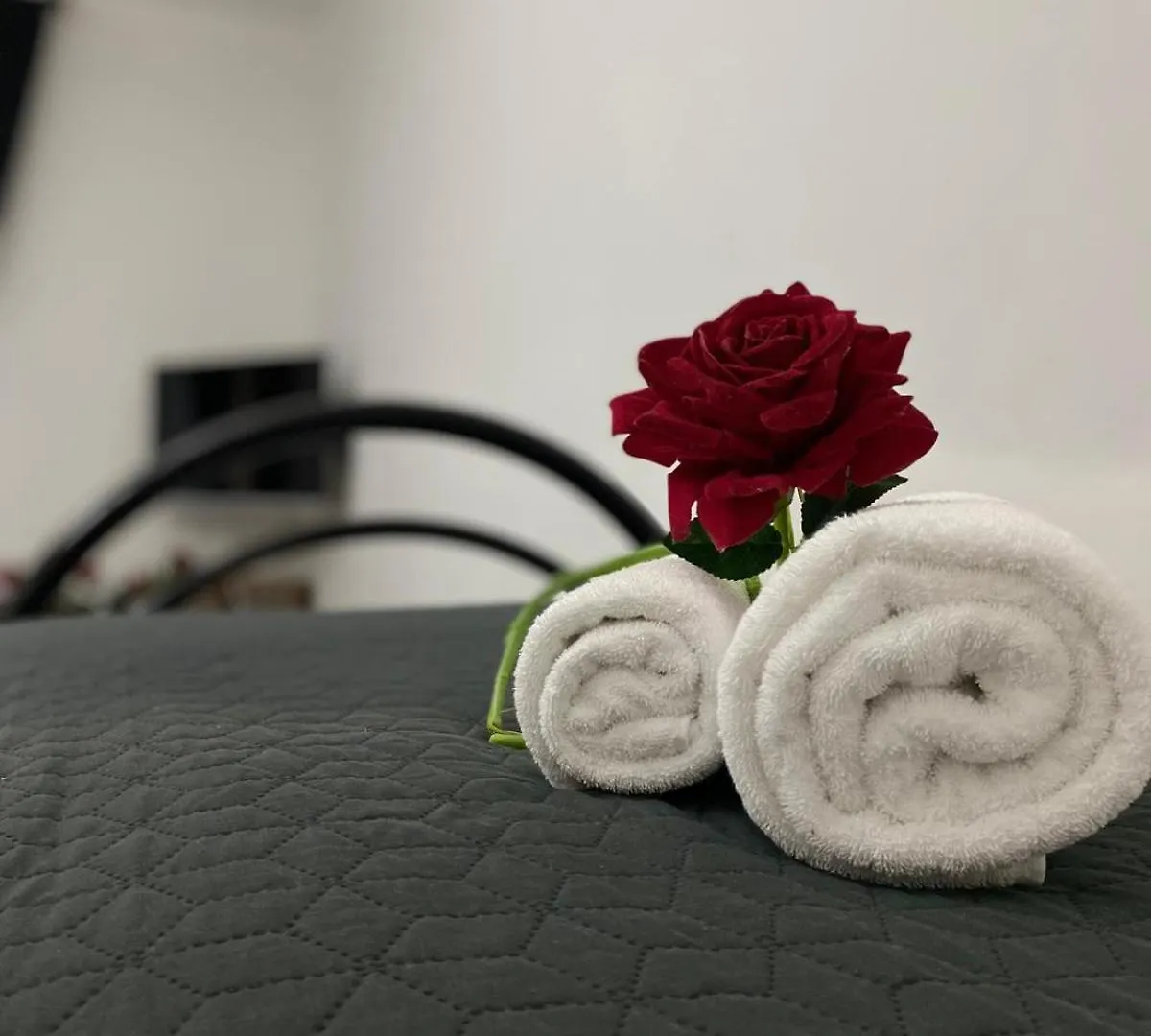 דירות Red Roses Domus רומא 0*,  איטליה